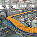 Lemon Juice Processing Line